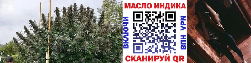 площадка официальный сайт  Шахунья  ТГК жижа 
