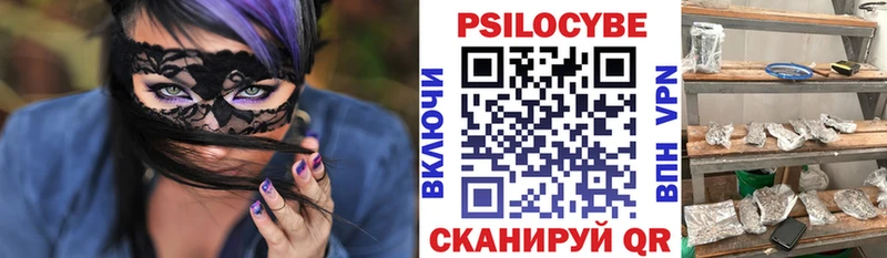 Галлюциногенные грибы Cubensis Шахунья